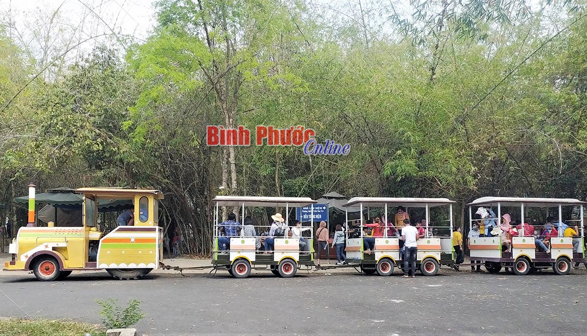Xe điện tham quan